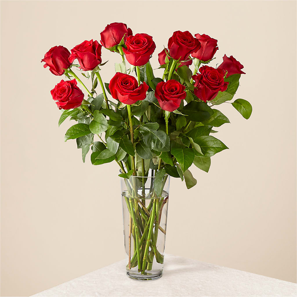 Long Stem Red Rose Bouquet – Ferguson Florists Inc, Attalla AL