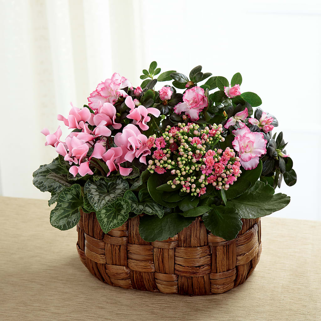Pink Assortment – Ferguson Florists Inc, Attalla AL