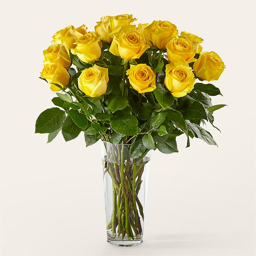 Long Stem Yellow Rose Bouquet – Ferguson Florists Inc, Attalla AL
