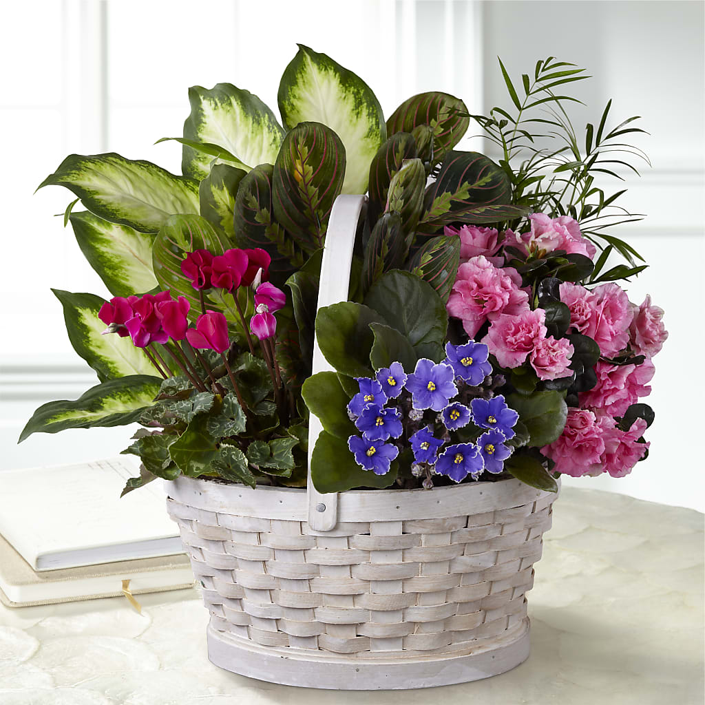 Peaceful Garden Planter – Ferguson Florists Inc, Attalla AL