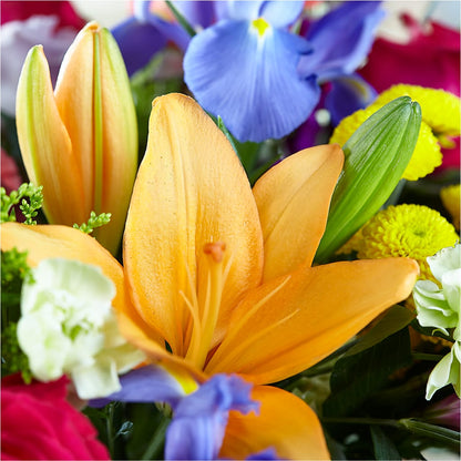 Bold & Bright – A Florist Original –  Ferguson Florists Inc, Attalla AL