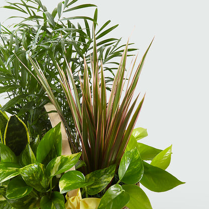 French Garden –  Ferguson Florists Inc, Attalla AL