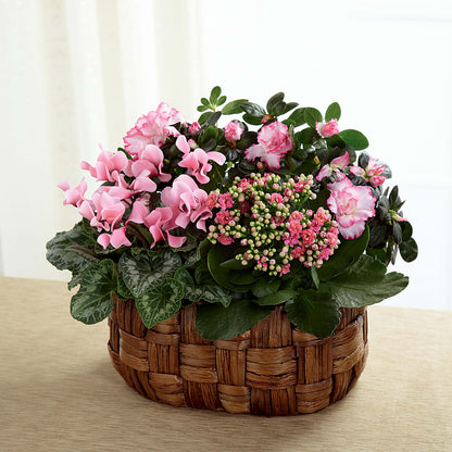 Pink Assortment –  Ferguson Florists Inc, Attalla AL