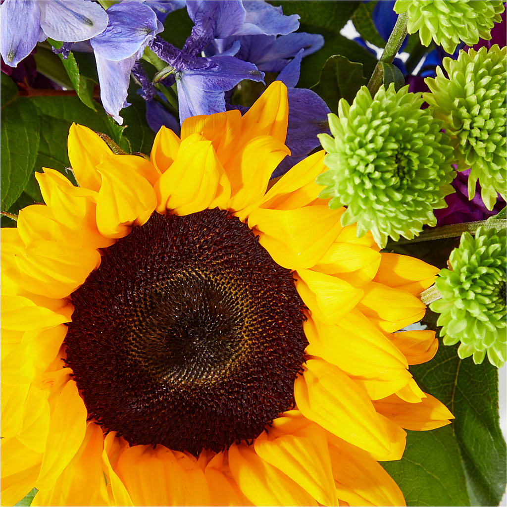 Catching Rays Bouquet –  Ferguson Florists Inc, Attalla AL