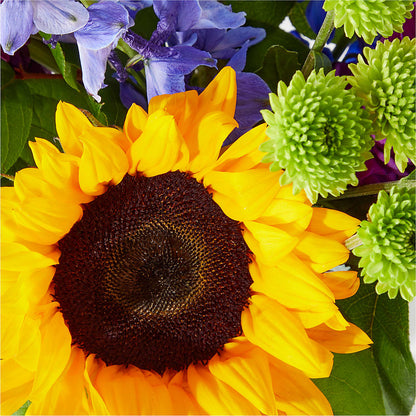 Catching Rays Bouquet –  Ferguson Florists Inc, Attalla AL