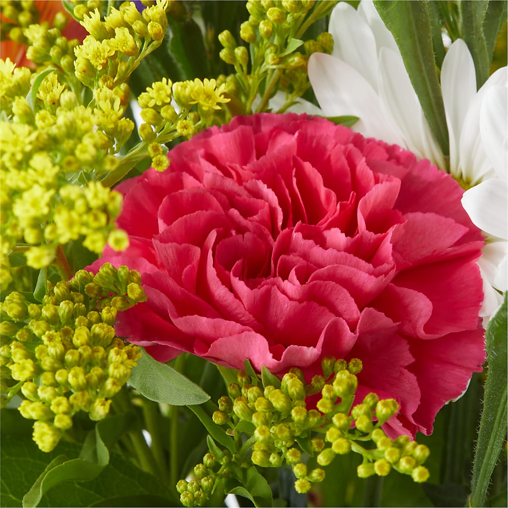 Oopsie Daisy Bouquet –  Ferguson Florists Inc, Attalla AL