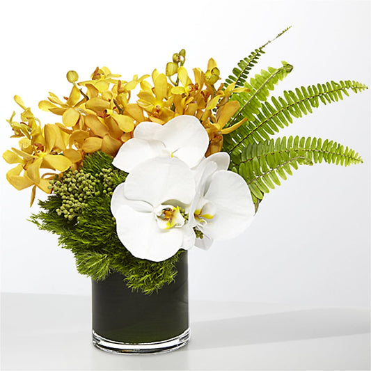 The Tropics –  Ferguson Florists Inc, Attalla AL