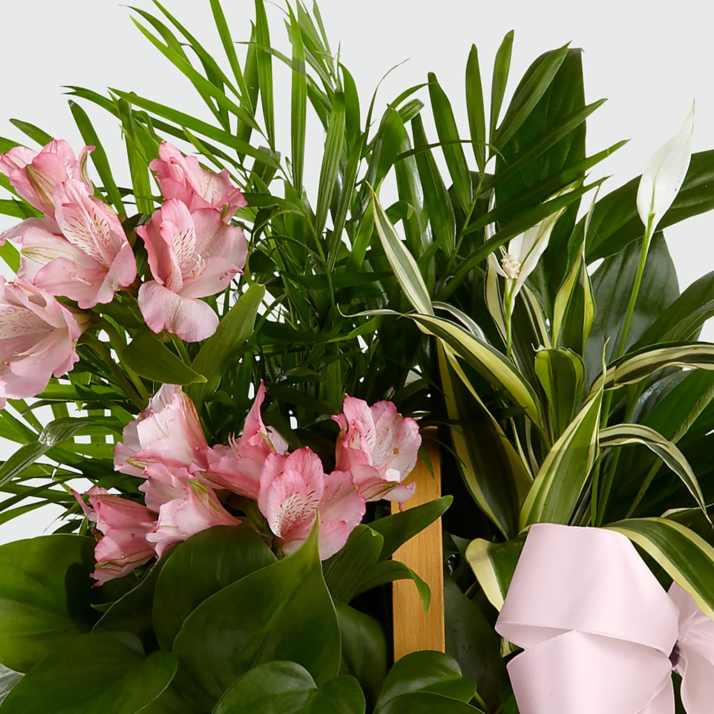 Living Spirit Dishgarden –  Ferguson Florists Inc, Attalla AL