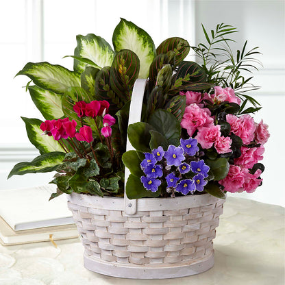 Peaceful Garden Planter –  Ferguson Florists Inc, Attalla AL