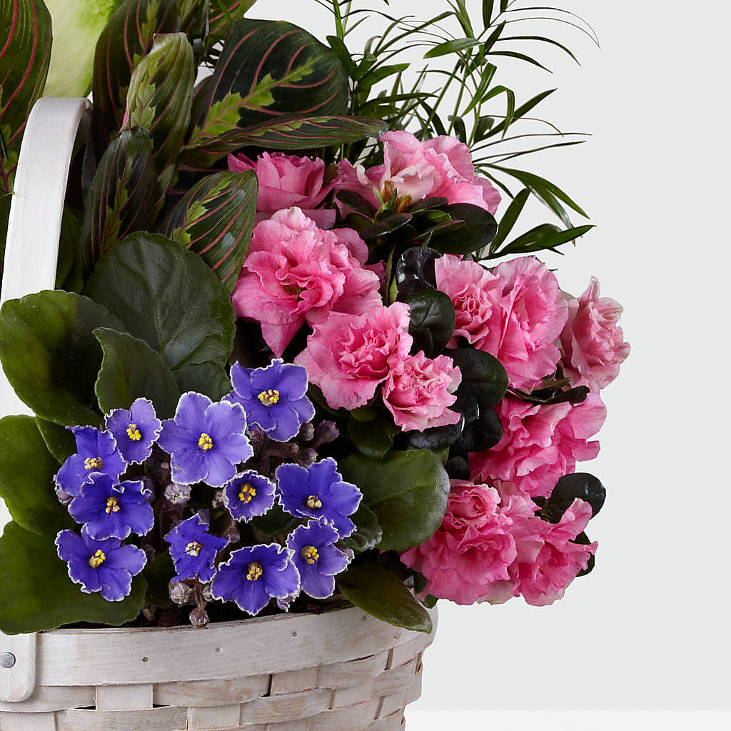 Peaceful Garden Planter –  Ferguson Florists Inc, Attalla AL
