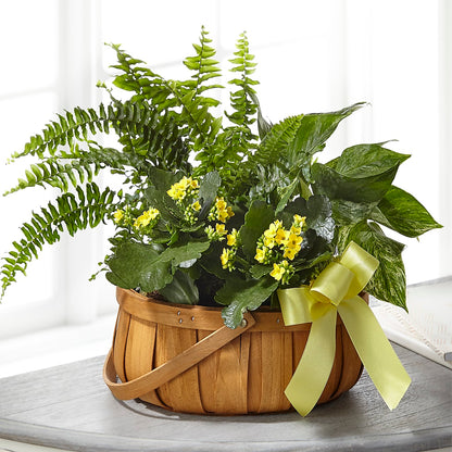 Always Dear Dishgarden –  Ferguson Florists Inc, Attalla AL