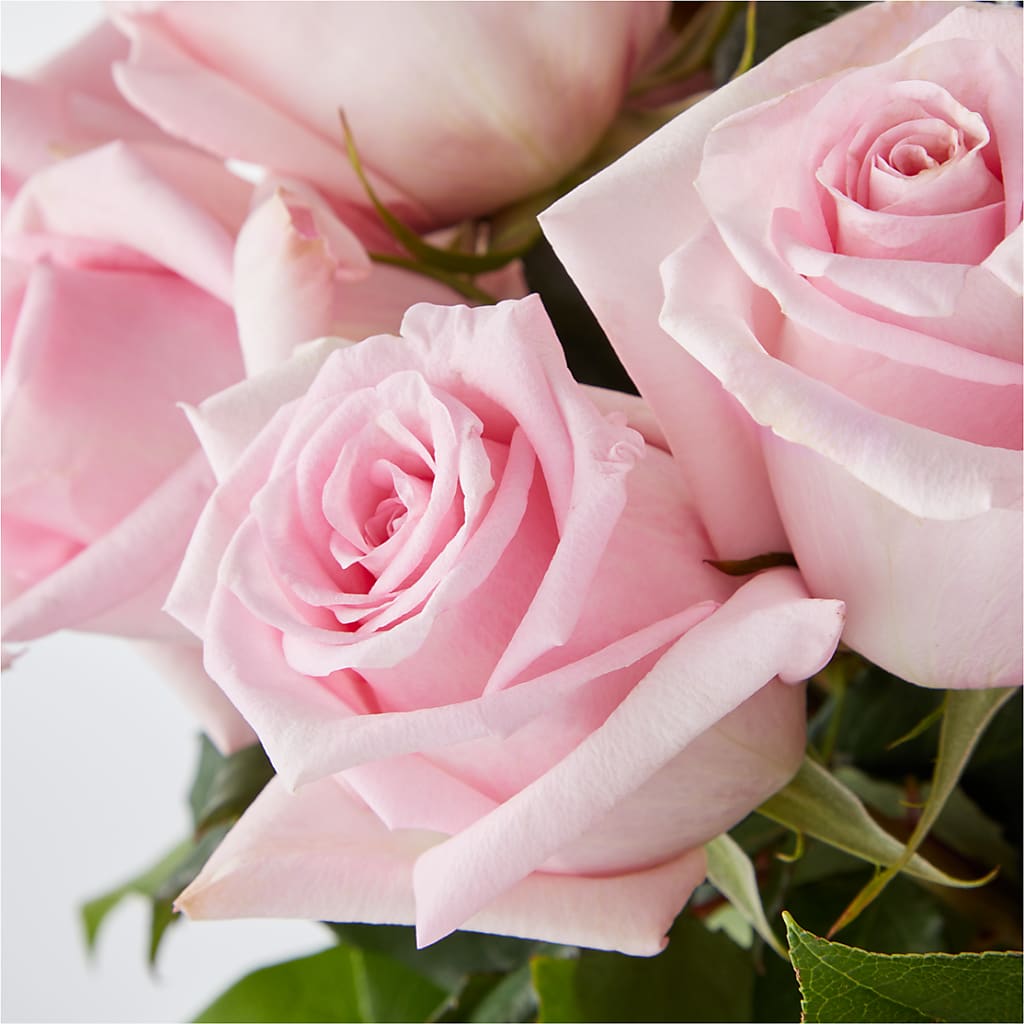 Picture Perfect Pink Rose Bouquet –  Ferguson Florists Inc, Attalla AL