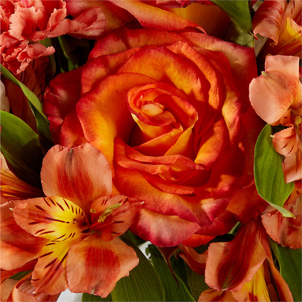 Apricot Glow Bouquet –  Ferguson Florists Inc, Attalla AL