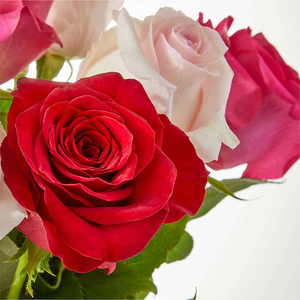 Charming Rose Bouquet –  Ferguson Florists Inc, Attalla AL
