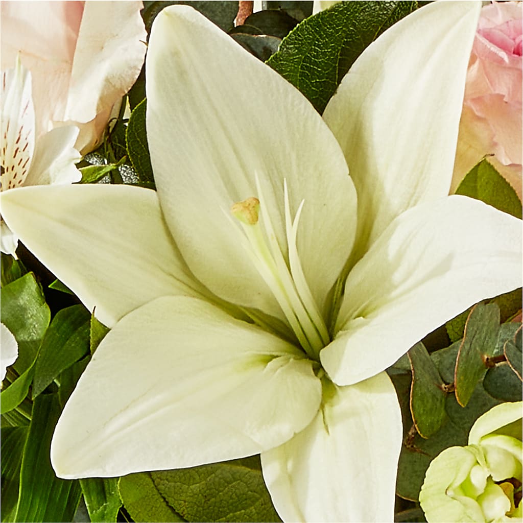Ballet Slippers Bouquet –  Ferguson Florists Inc, Attalla AL