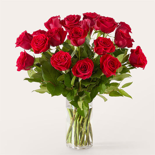 The One Red Rose Bouquet –  Ferguson Florists Inc, Attalla AL