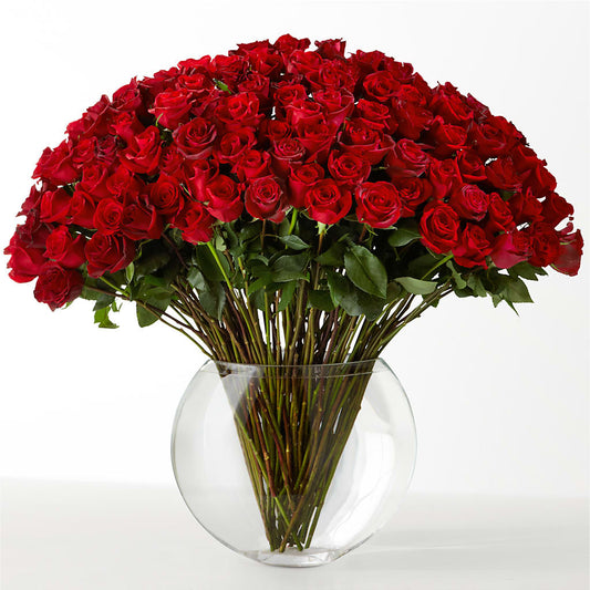 The Idealist –  Ferguson Florists Inc, Attalla AL