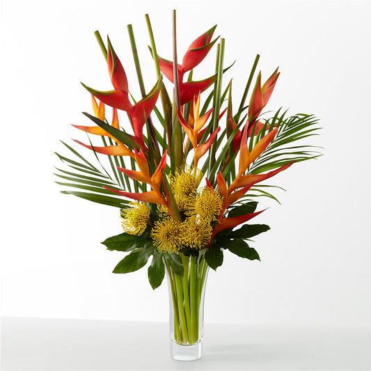 The Drama –  Ferguson Florists Inc, Attalla AL